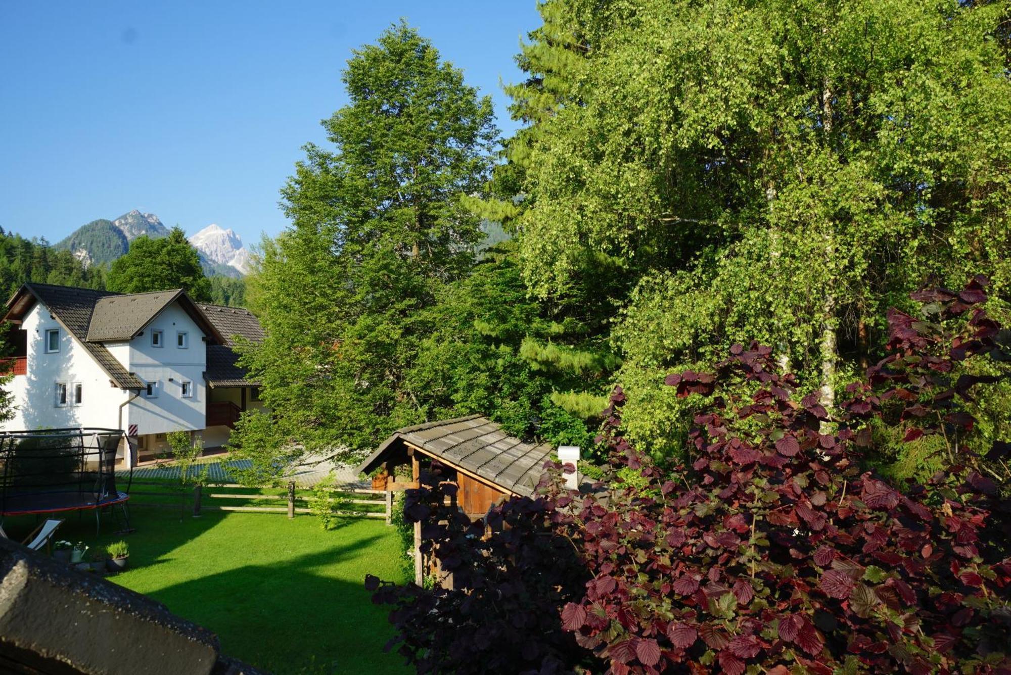 Apartma Apartma Zidan *
